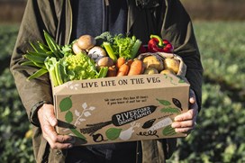 Riverford Veg Box.jpg