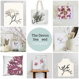 Devon Seaweed Company.jpg