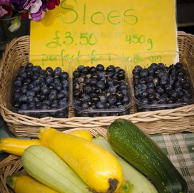 024 Nourish 2017   - Version 2.jpg